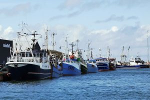 Dansk bæredygtigt fiskeri